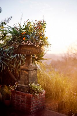 Cast Iron Urn Planter