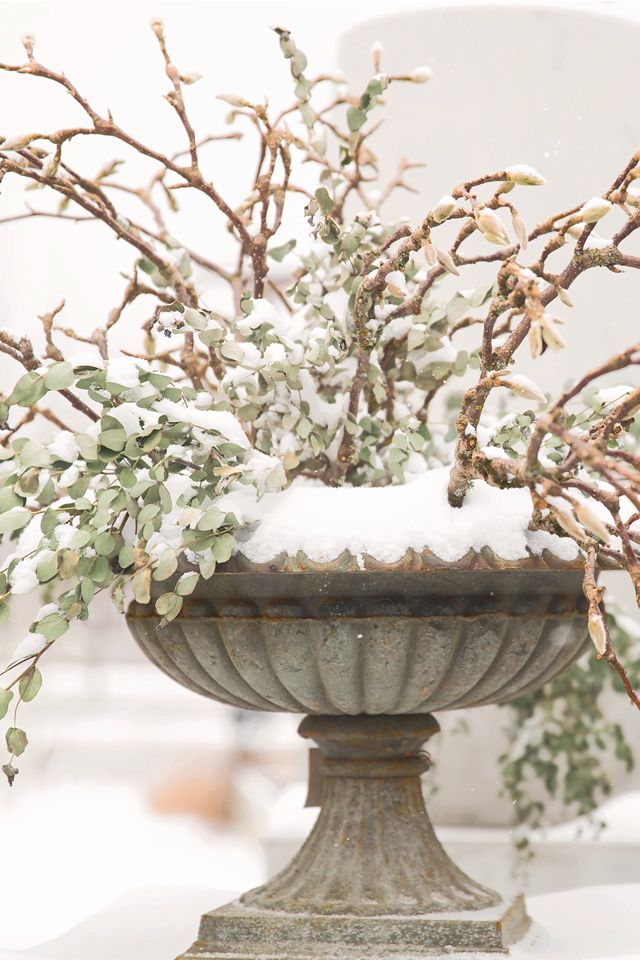 Cast Iron Urn Planter #6