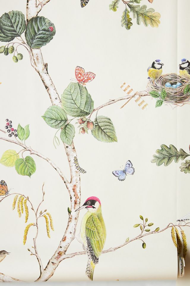 Woodland Chorus Wallpaper #1