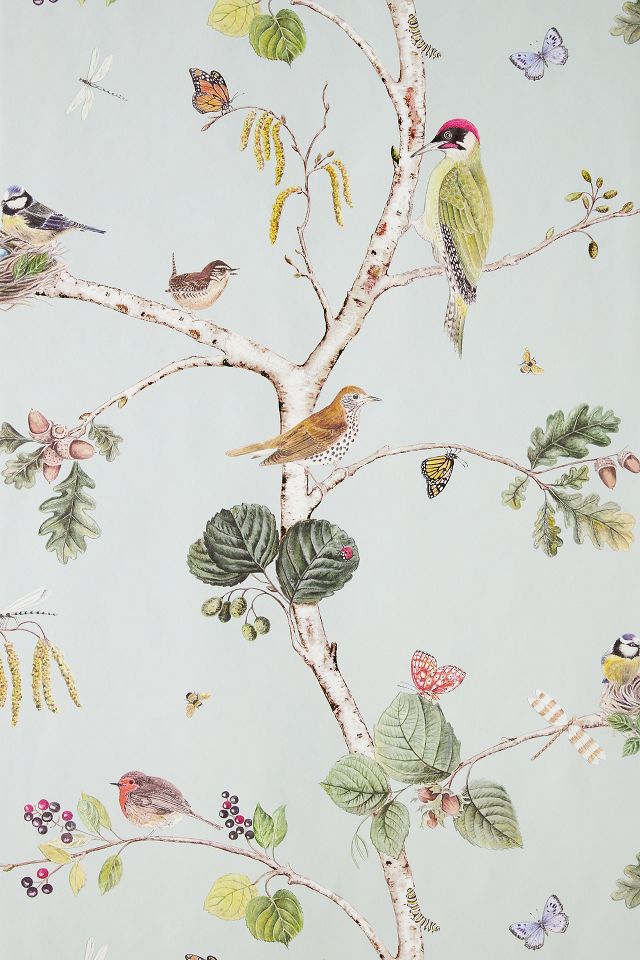Woodland Chorus Wallpaper