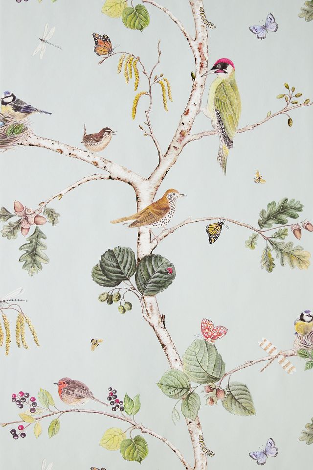 Woodland Chorus Wallpaper | AnthroLiving