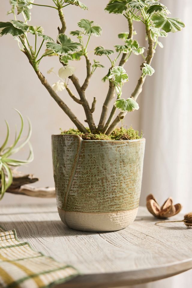 Colorblock Ceramic Wrap Pot