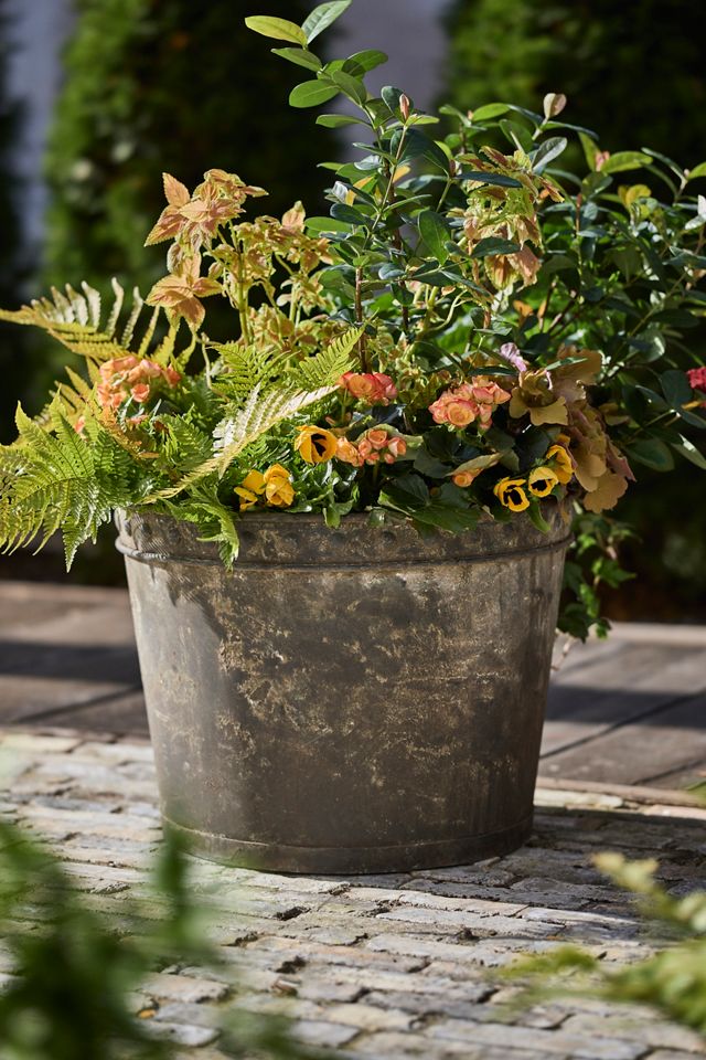 Rivet Rim Galvanized Taper Planter #1