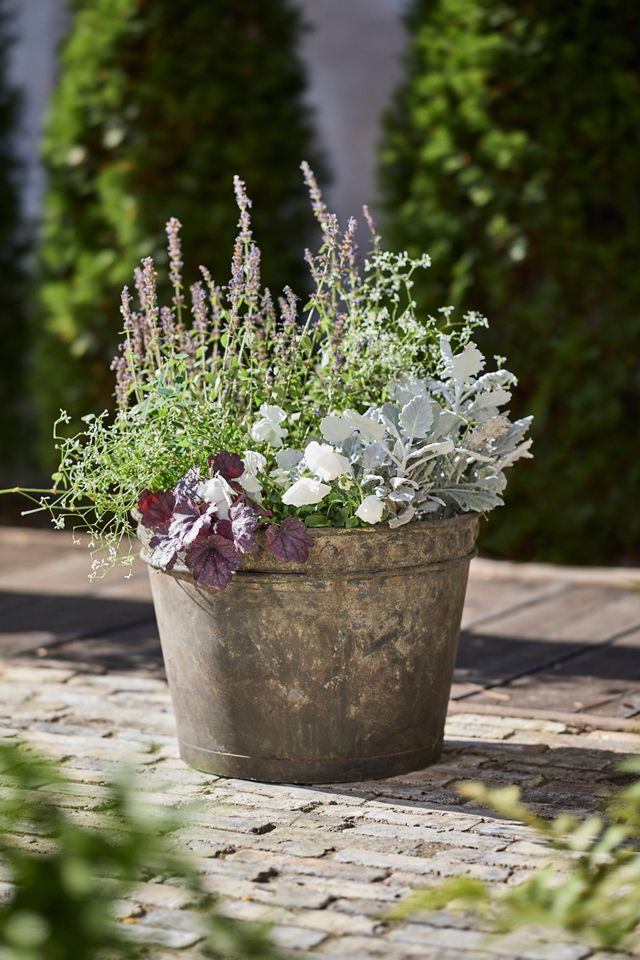 Rivet Rim Galvanized Taper Planter #3