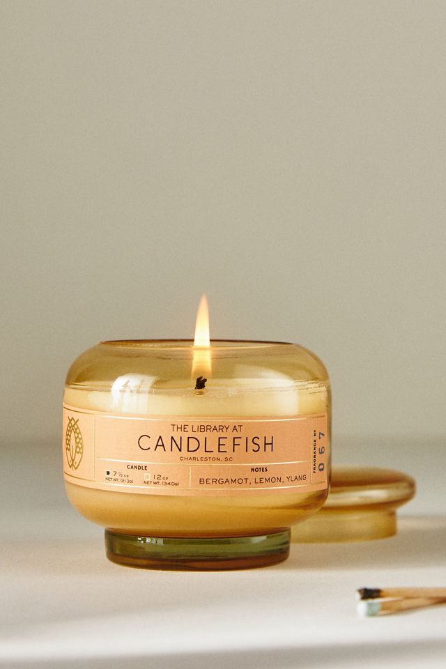 Candlefish Bergamot, Lemon & Ylang Glass Candle #1