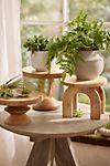 Natural Wood Plant Stand, Arch #1