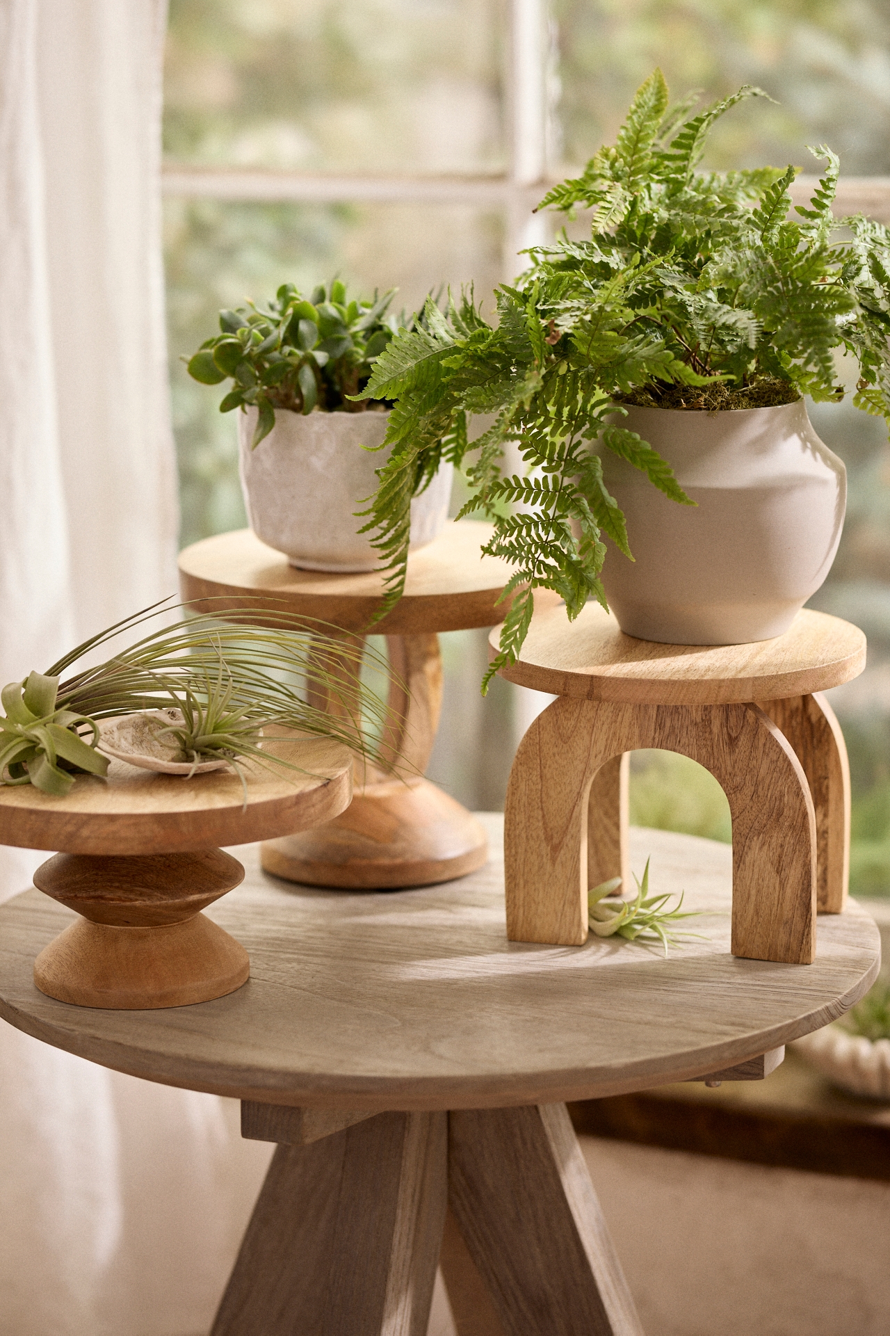 Natural Wood Plant Stand