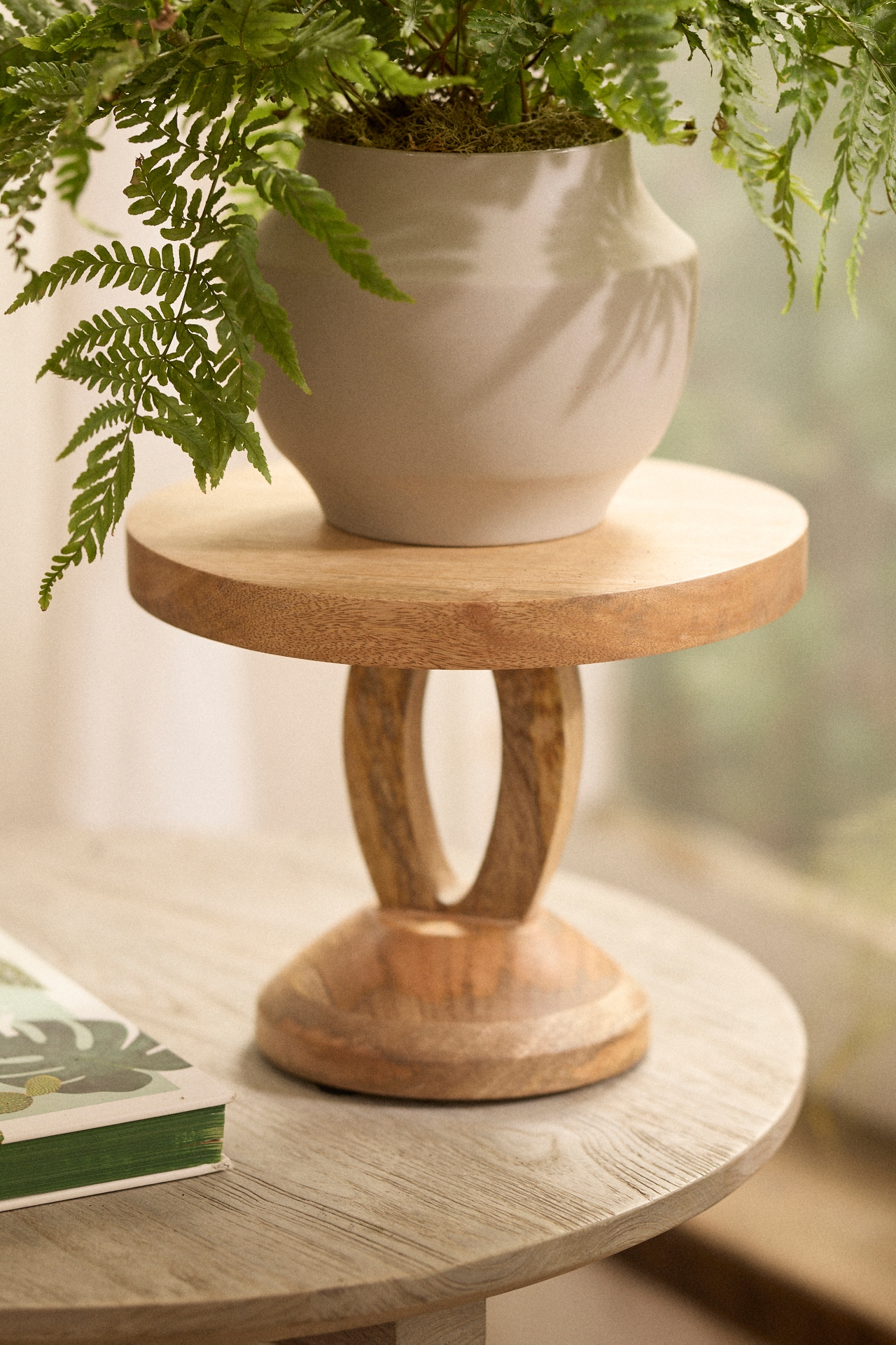 Natural Wood Plant Stand