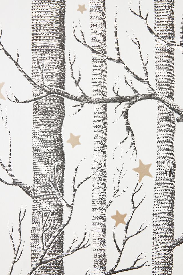 Woods & Stars Wallpaper #2