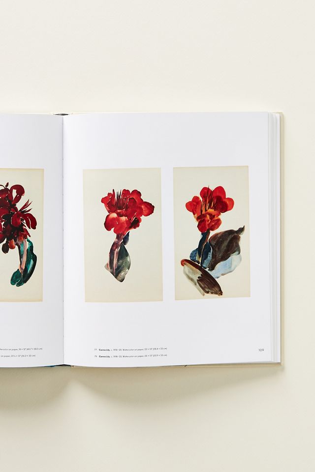 Georgia O'Keeffe: To See Takes Time #2