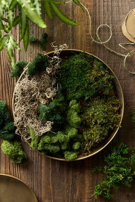 Terrain Preserved Mood Moss, Set Of 6