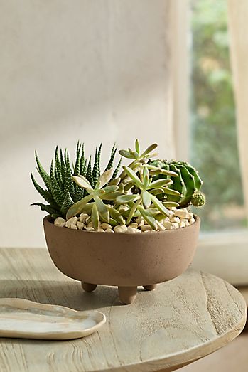 Textured Ceramic Footed Bowl Planter