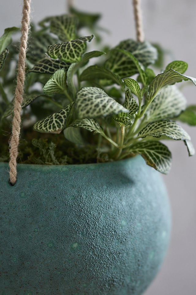 Earthenware Hanging Planter #1