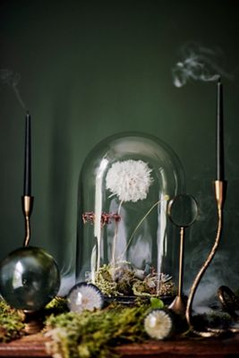 Oval Cloche with Distressed Wood Base