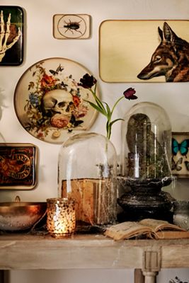 Glass Cloche with Distressed Wood Pedestal Base