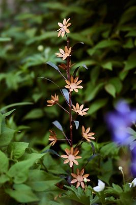 Glass Hummingbird Feeder