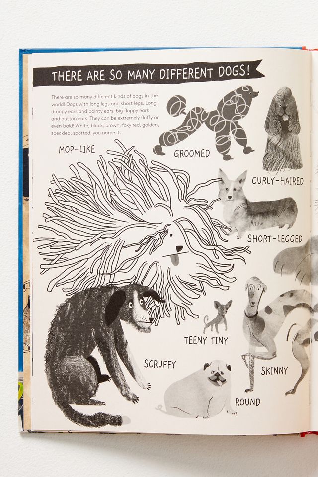 How to be Your Dog's BFF #1