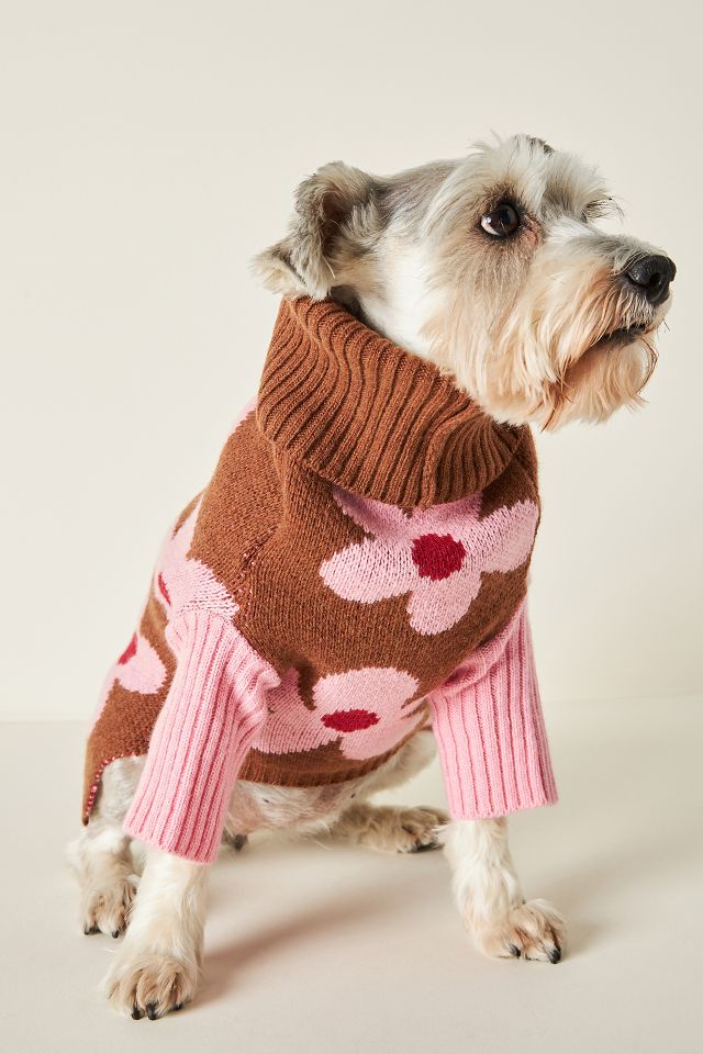 Chic shop dog clothes