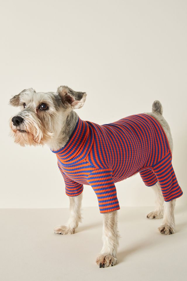 Posh Pup: The Chicest Pieces for Your Dog's Wardrobe