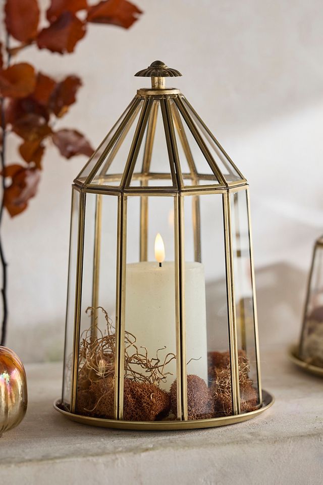 Domed Brass + Glass Cloche #1