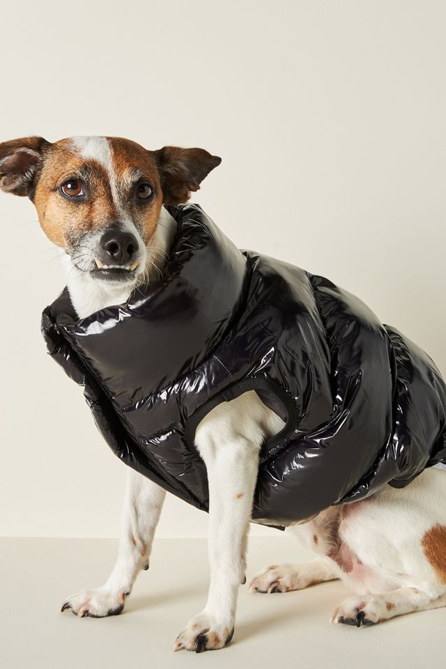 Little Beast The Big Black Puffer Jacket | AnthroHome