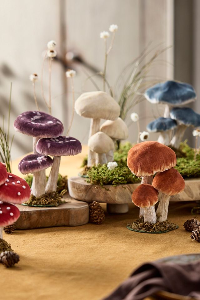 Velvet Mushrooms, Small #4