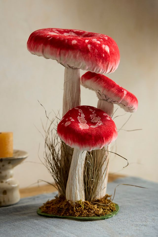 Mushroom Glass Bowl Set