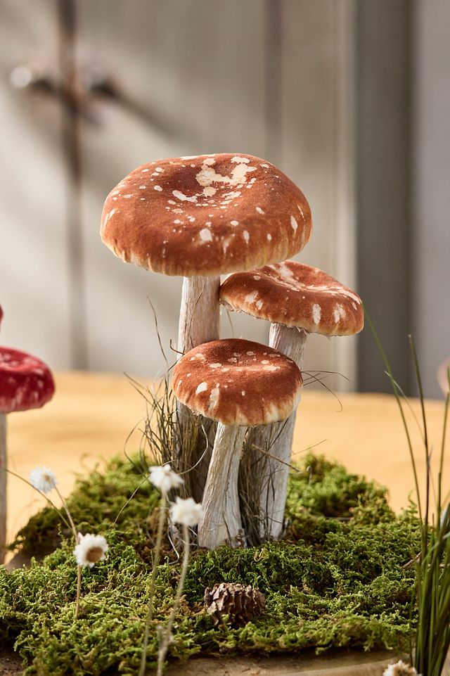 Mushroom Glass Bowl Set