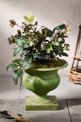 Terrain Green Cast Stone Urn
