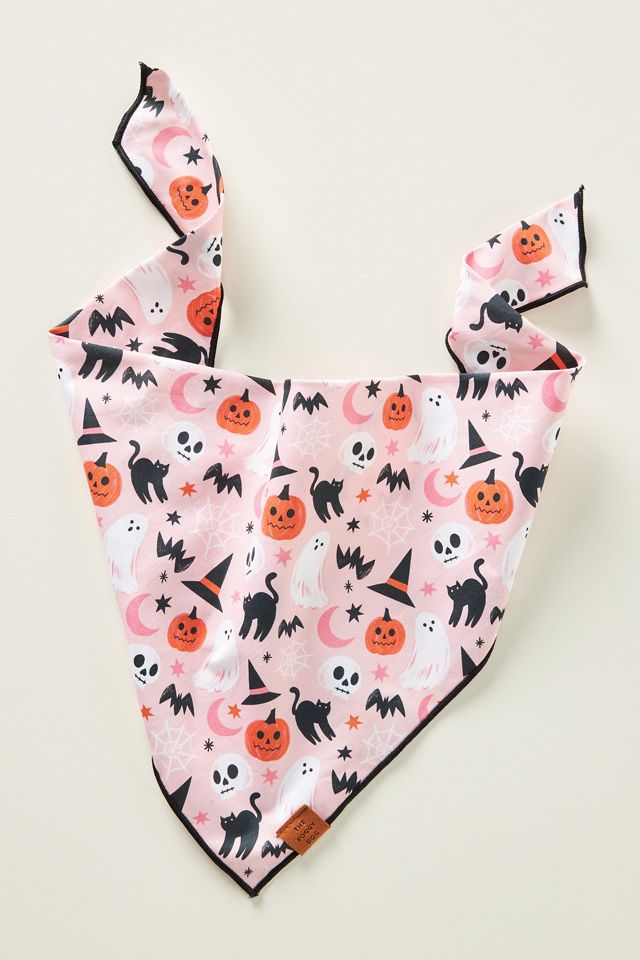 Bewitched Dog Bandana #1