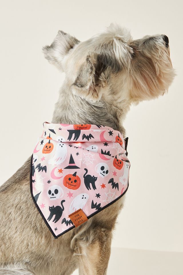 Bewitched Dog Bandana | AnthroLiving