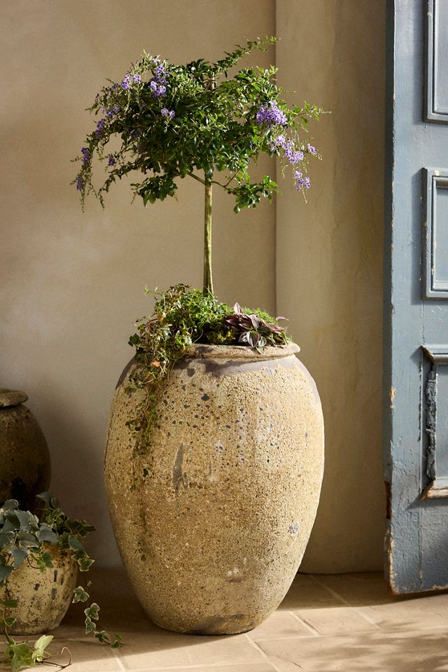 Barnacle Water Jar Planter #1