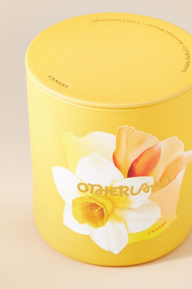 Otherland Canary Boxed Candle #2