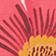 Pink Pattern