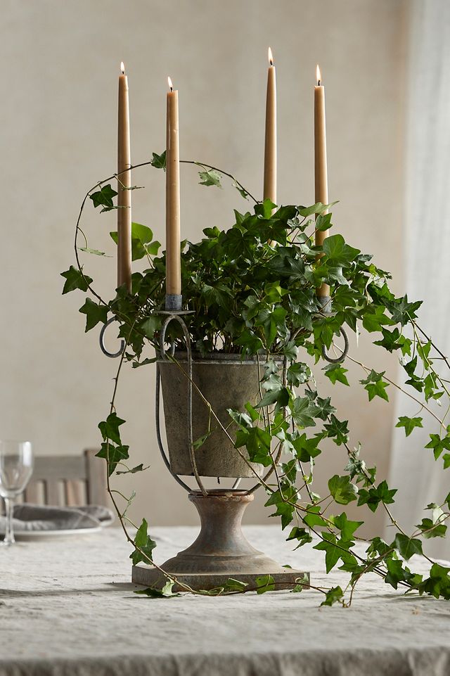 Shops plant stands / candle stand