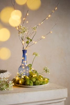 Stargazer Mini Star String Lights | AnthroLiving