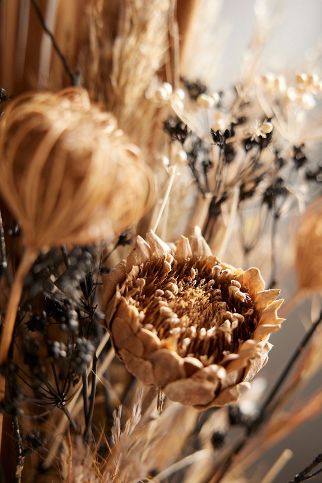 Dried Palm, Protea, Queen Anne's Lace Bouquet | AnthroHome