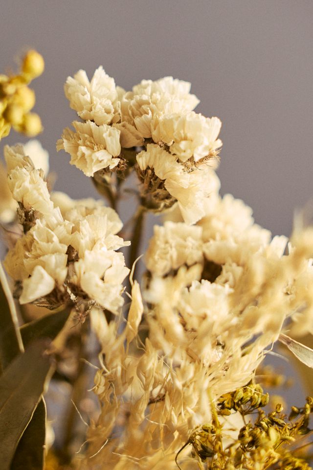 Preserved Dutch Meadow Bouquet #2