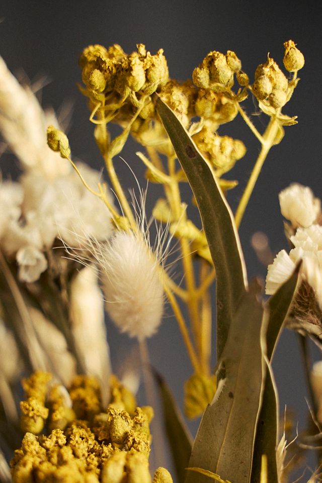 Preserved Dutch Meadow Bouquet #3