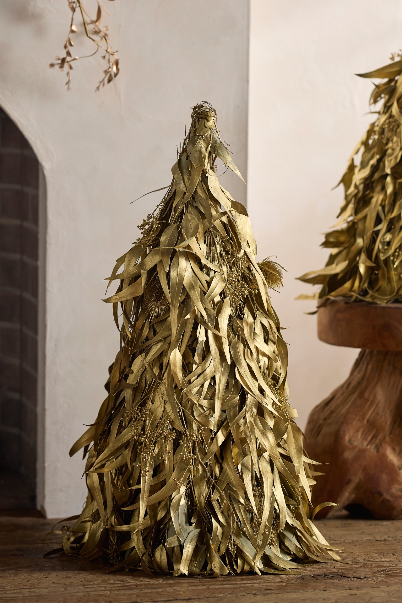 Dried Eucalyptus Cone