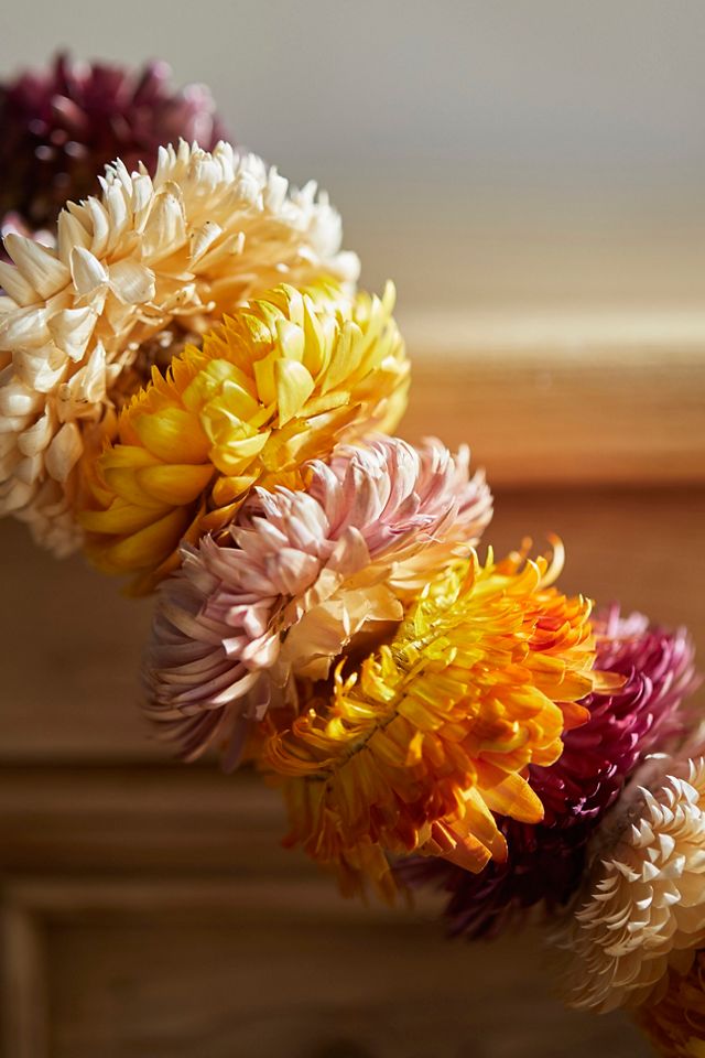 Preserved Helichrysum Garland #1