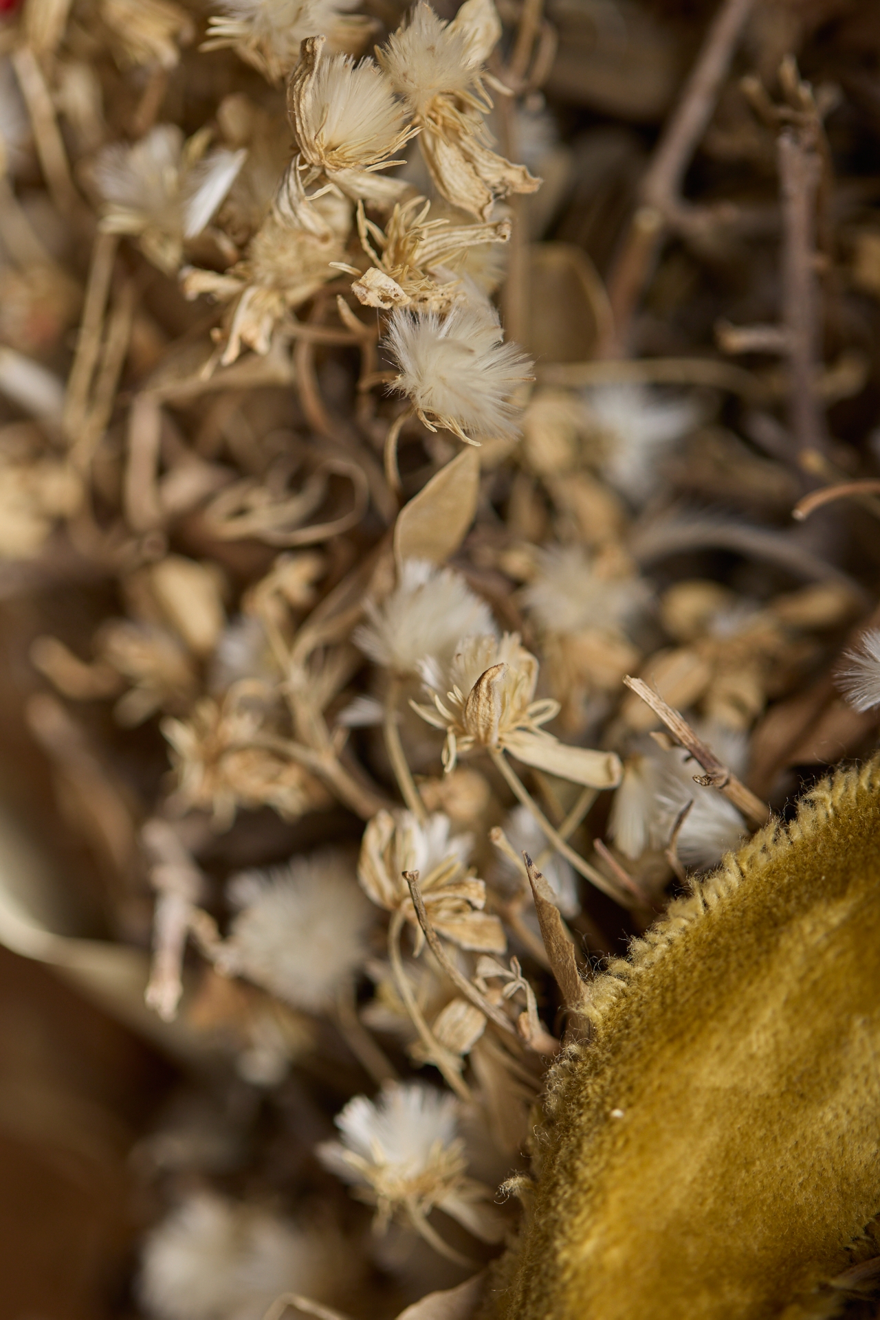 Dried Clematis Wreath