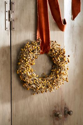 Dried Twoleaf Nightshade Wreath