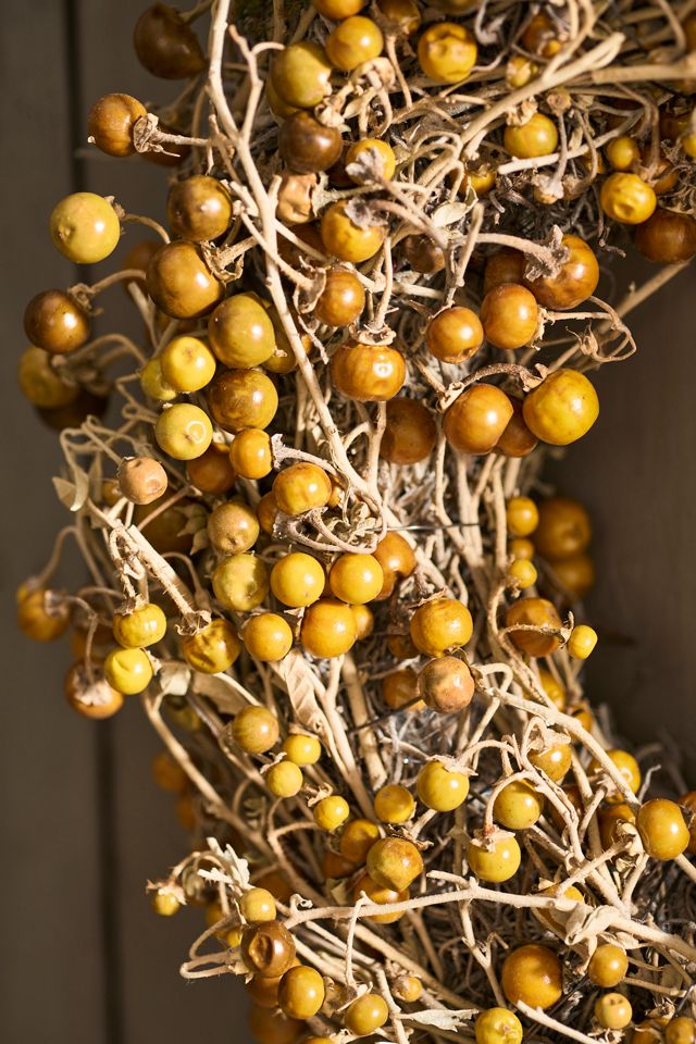 Dried Twoleaf Nightshade Wreath #1