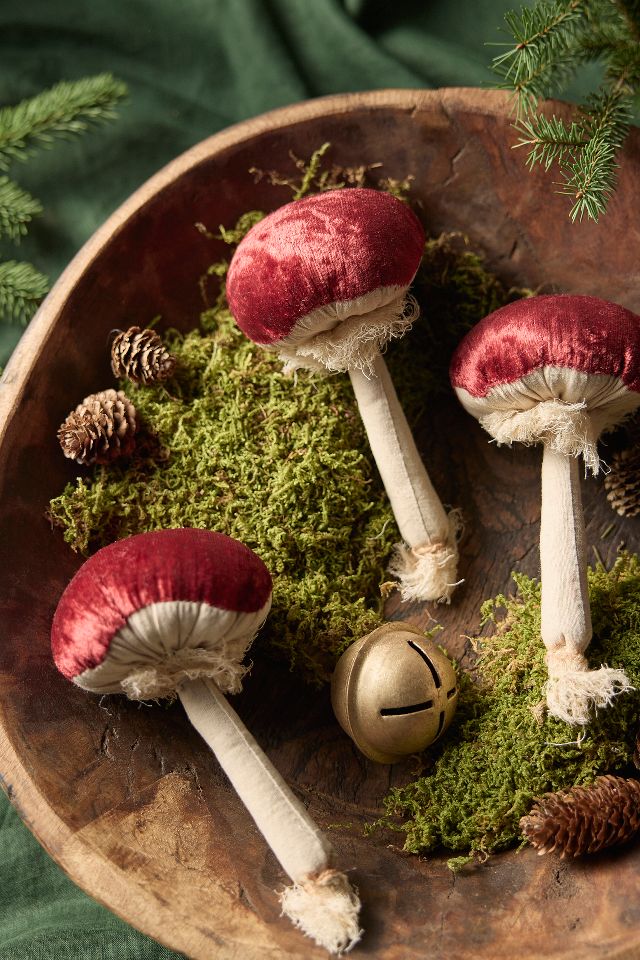 Velvet Mushrooms, Set of 3 | AnthroLiving