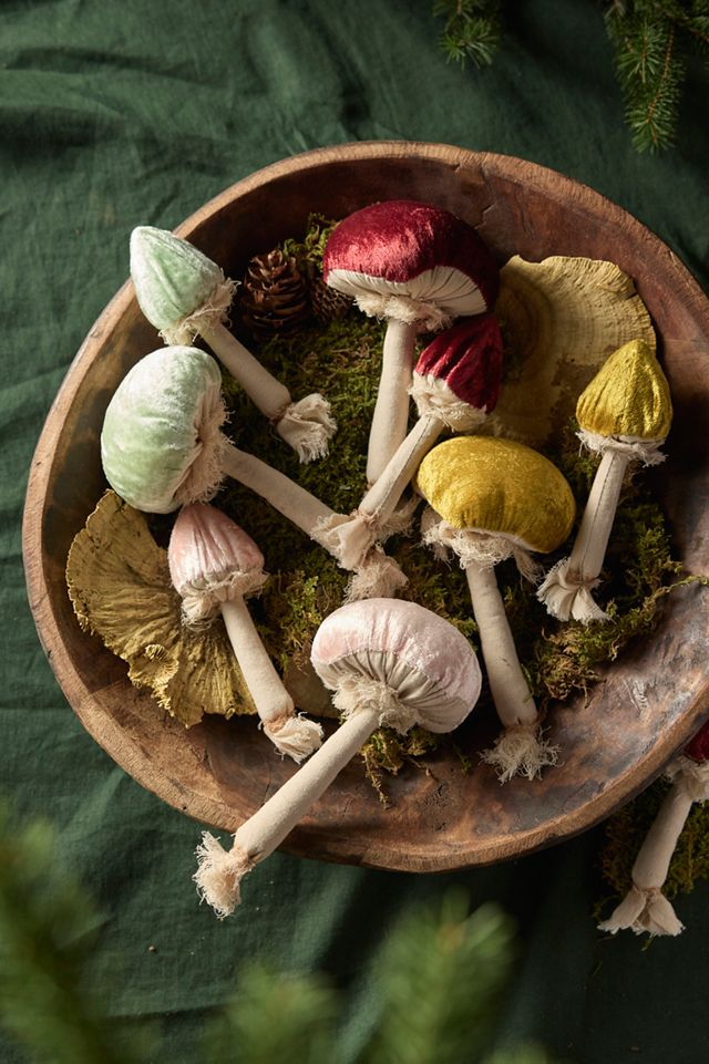Velvet Mushrooms, Set of 3 #1