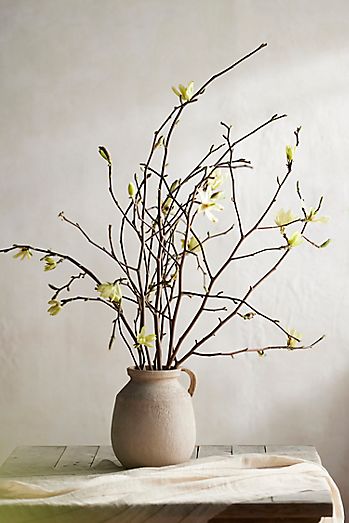Yellow Tulip Magnolia Branches