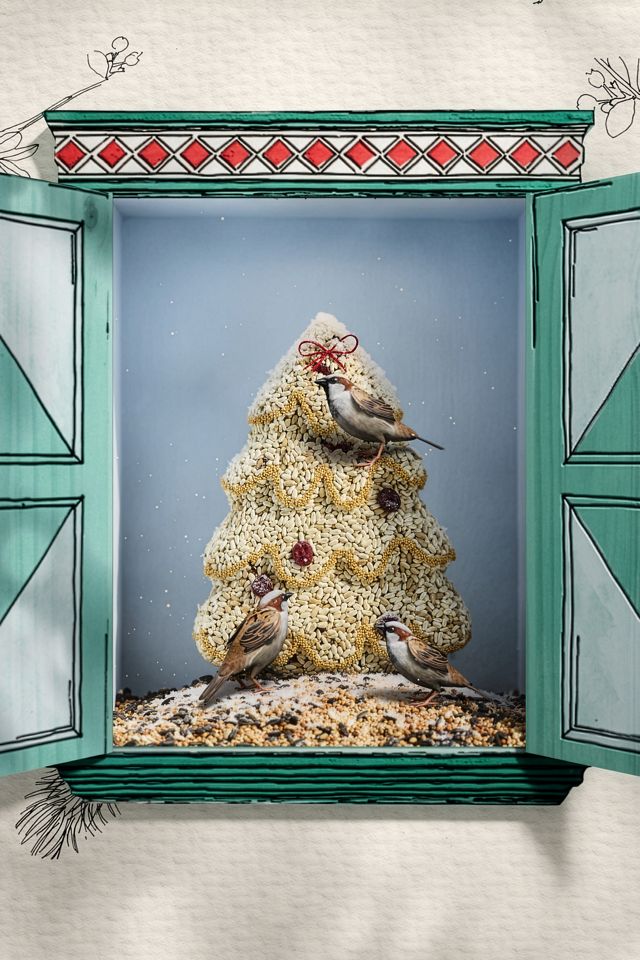 Bird Seed Christmas Tree #2