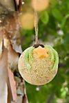 Bird Seed Globe Ornaments, Set of 3 #2