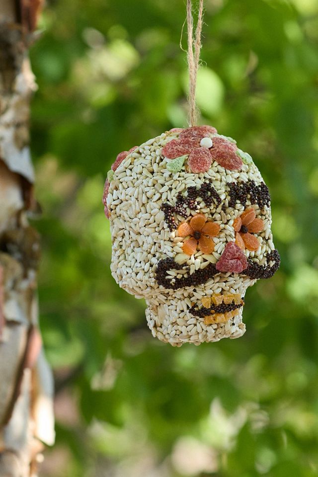 Bird Seed Sugar Skull Ornament #1